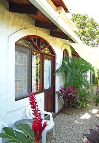 Hotel Flores (Adults Only) Tamarindo Room photo